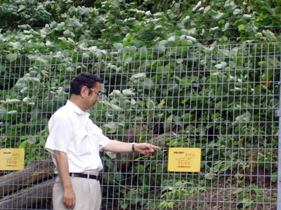 鳥獣被害防止の電気柵を視察。